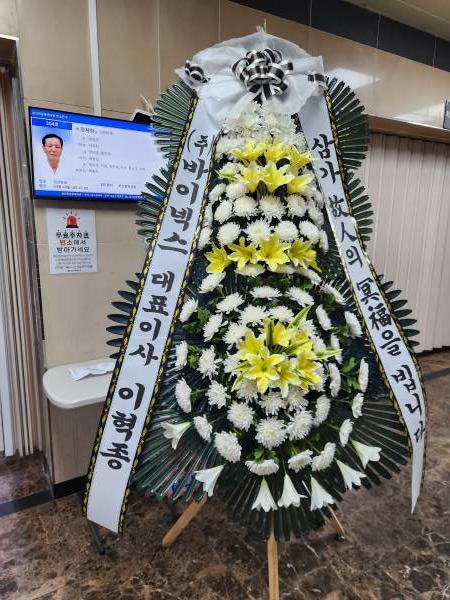 업로드 이미지