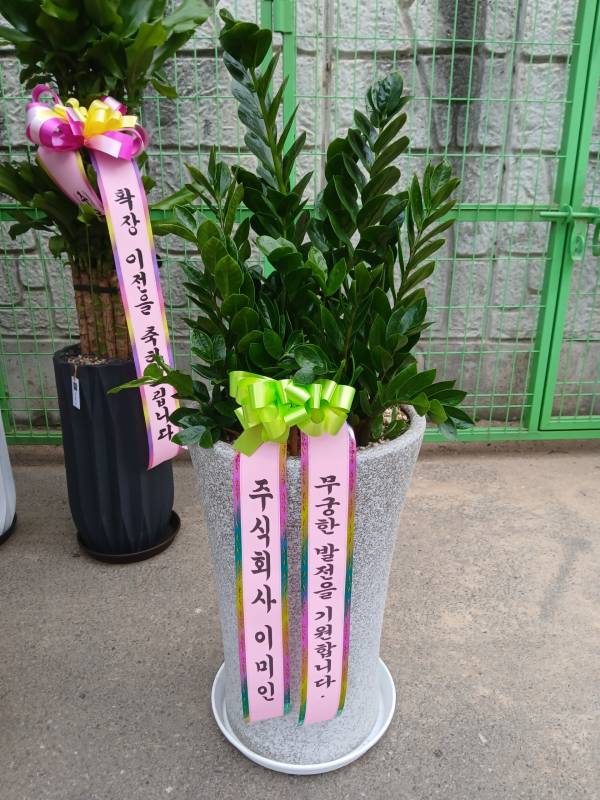 업로드 이미지