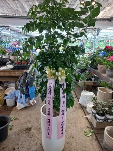 업로드 이미지