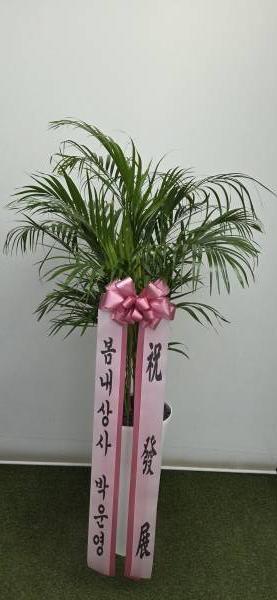업로드 이미지