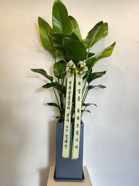업로드 이미지