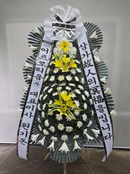 업로드 이미지