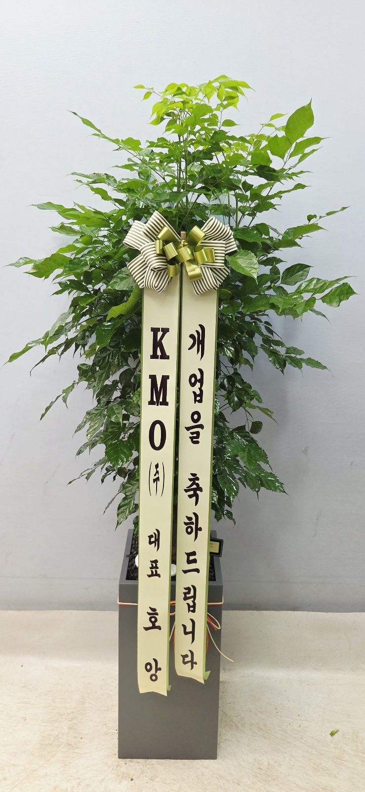 업로드 이미지