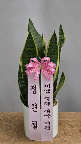 업로드 이미지