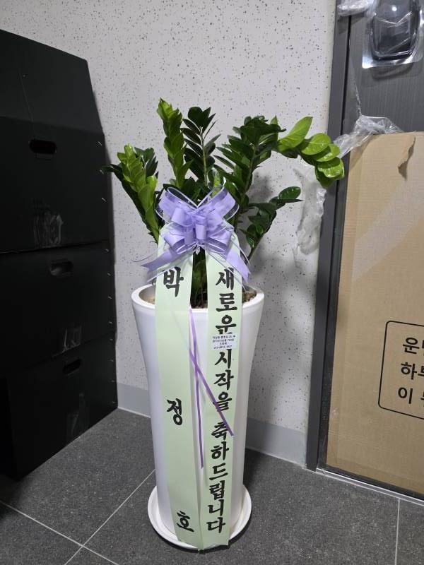 업로드 이미지