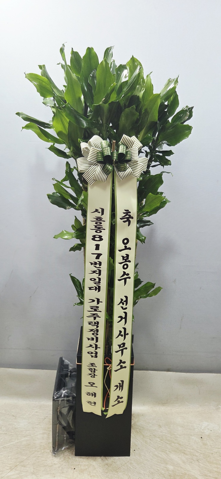 업로드 이미지