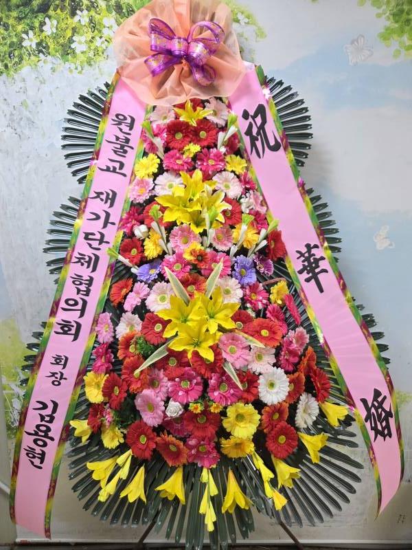 업로드 이미지