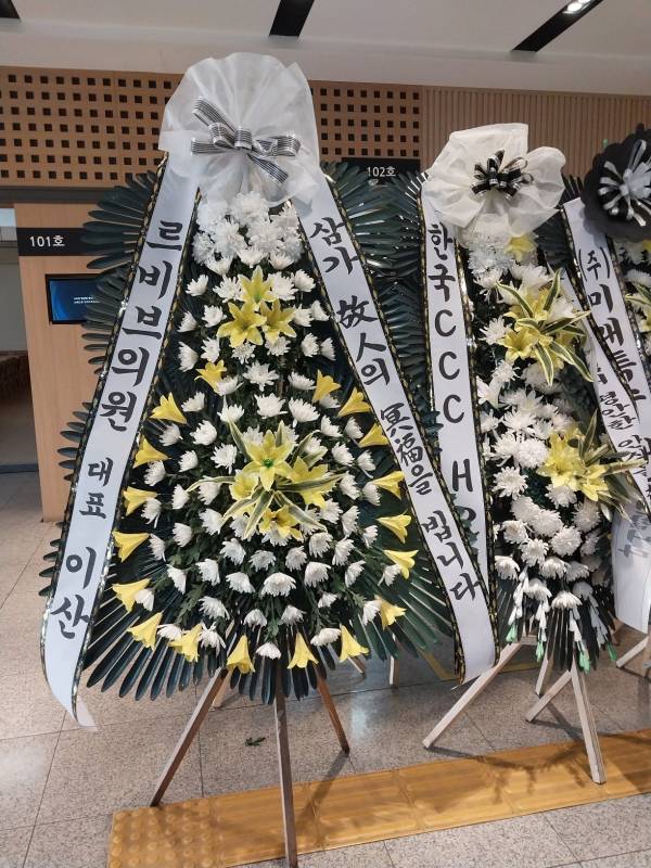 업로드 이미지