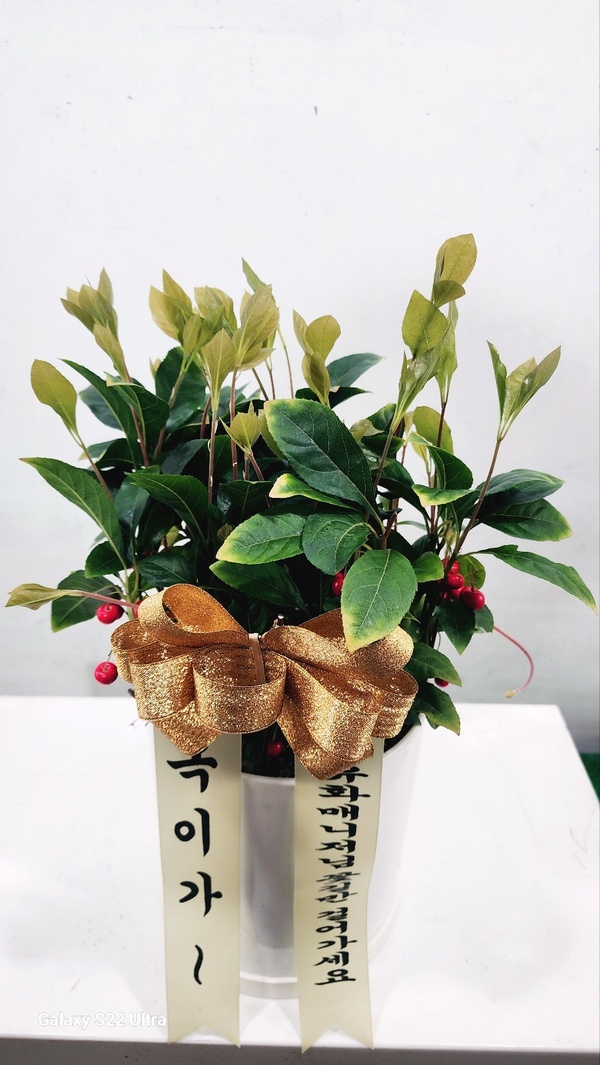 배송사진