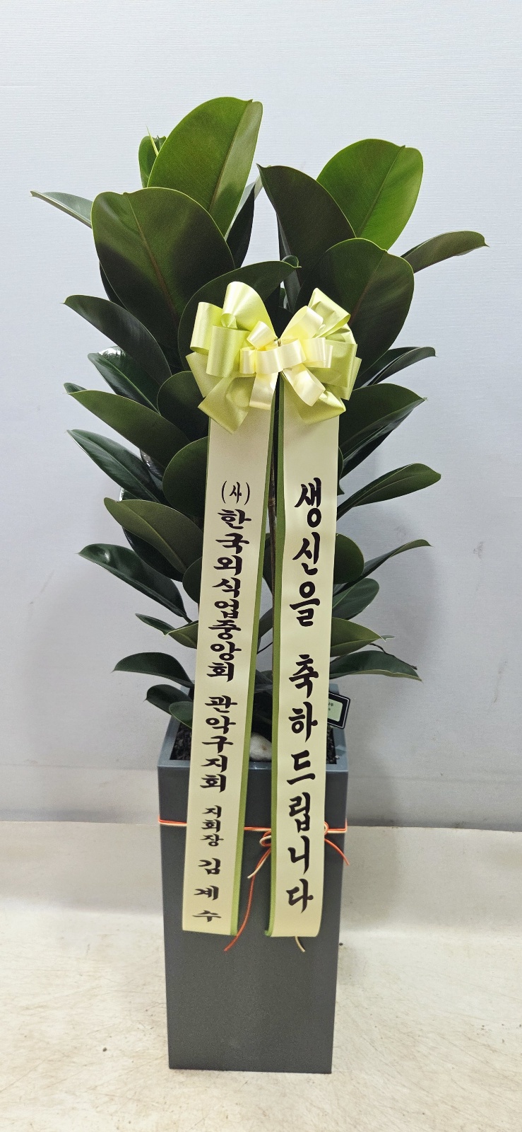 업로드 이미지