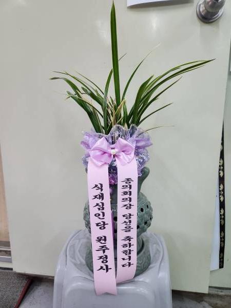 업로드 이미지