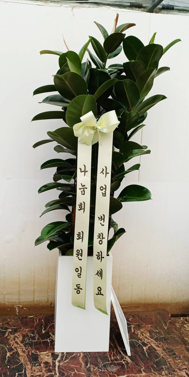 업로드 이미지