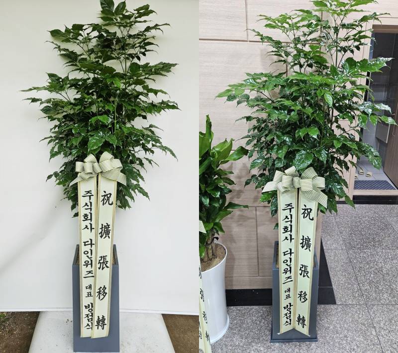 배송사진