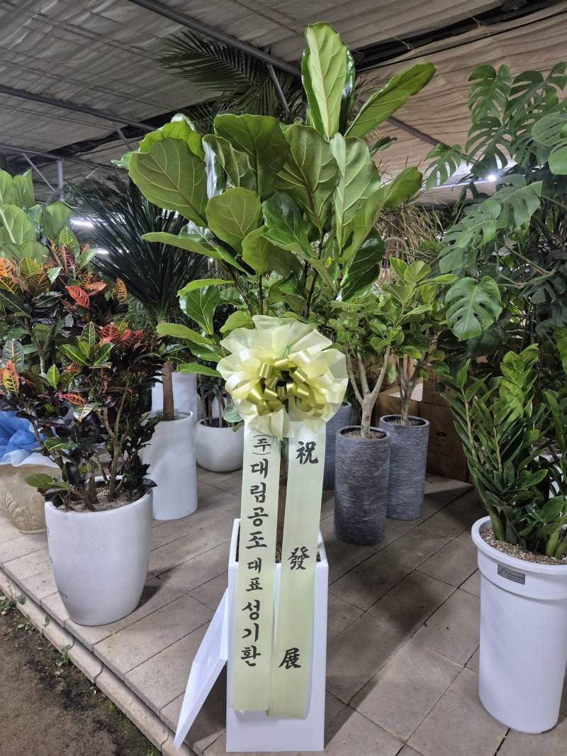 업로드 이미지