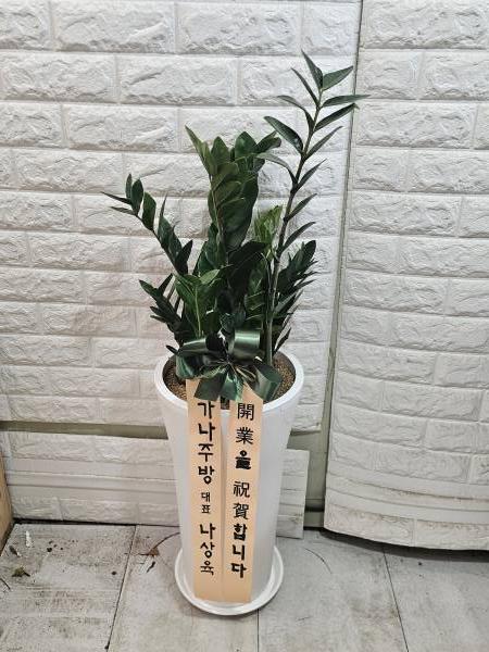 업로드 이미지