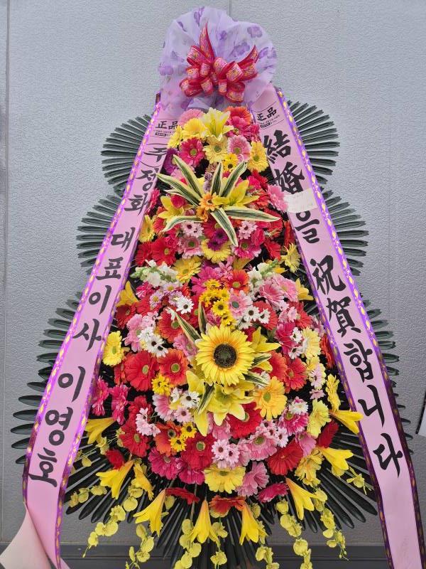 업로드 이미지