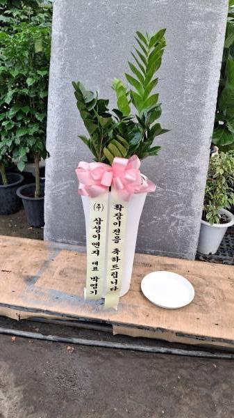업로드 이미지
