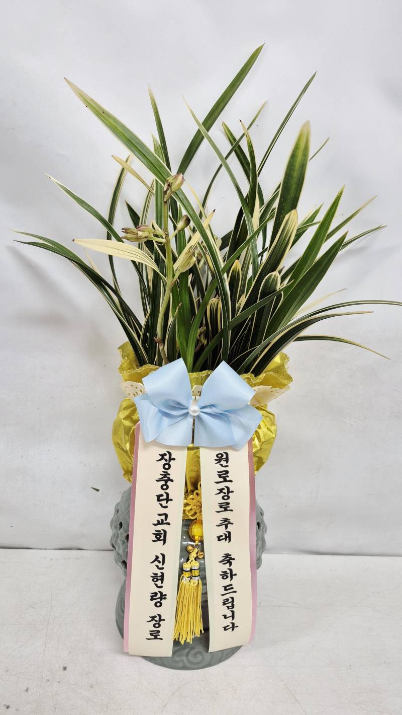업로드 이미지
