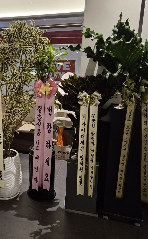 업로드 이미지