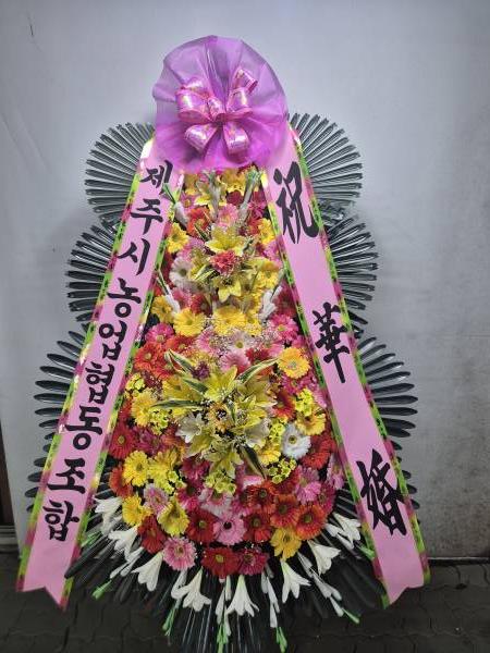 업로드 이미지