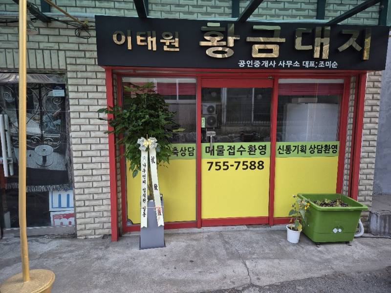 업로드 이미지