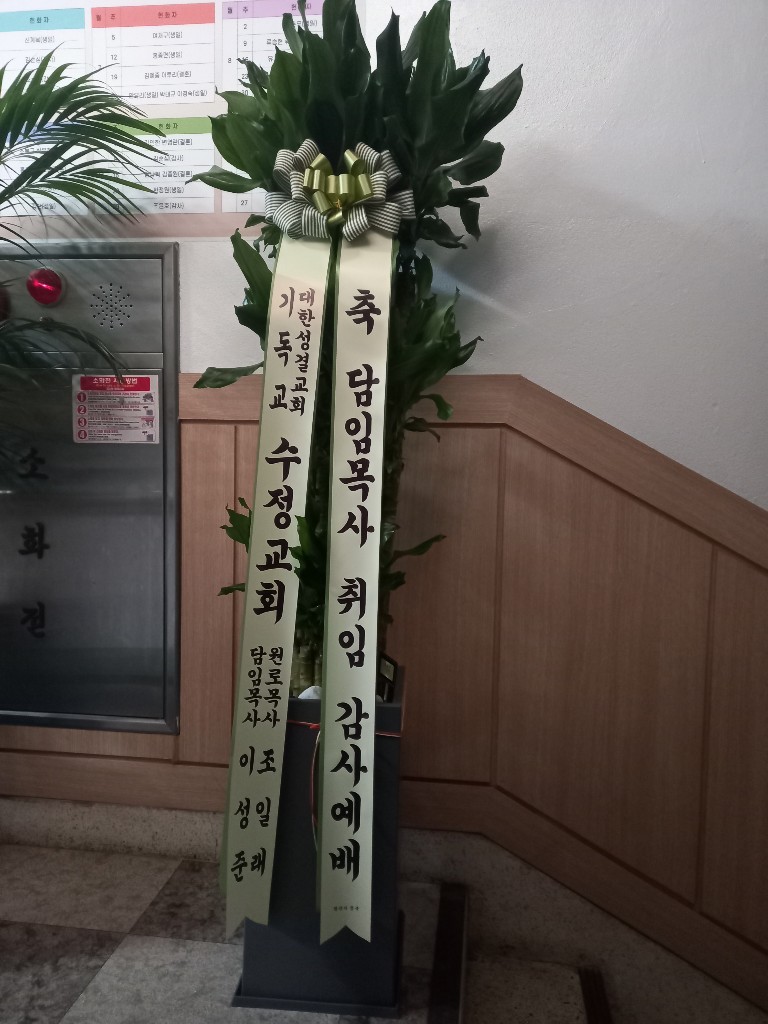 업로드 이미지