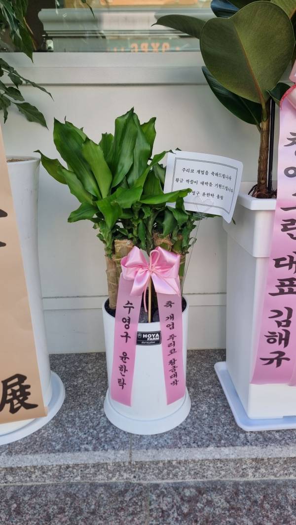 업로드 이미지