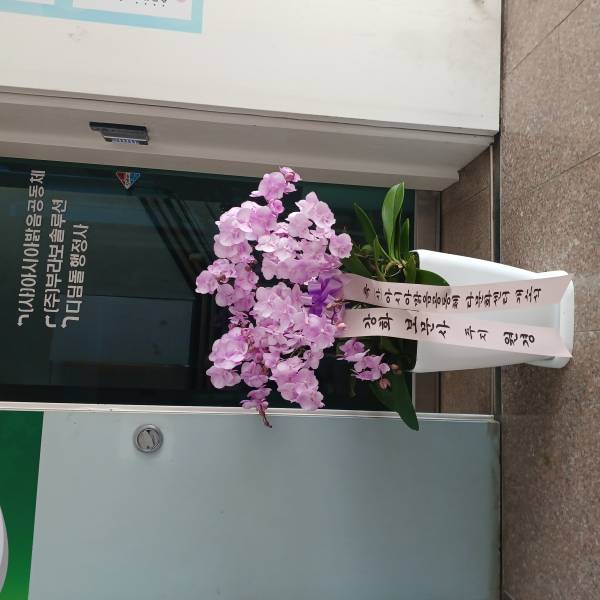 업로드 이미지