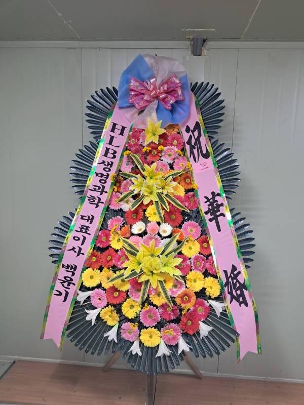 업로드 이미지