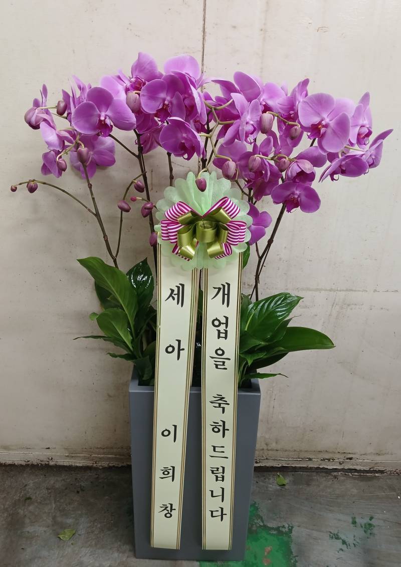 업로드 이미지