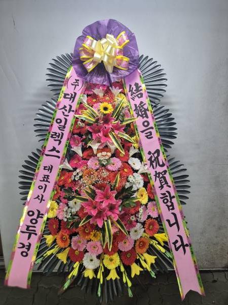 업로드 이미지