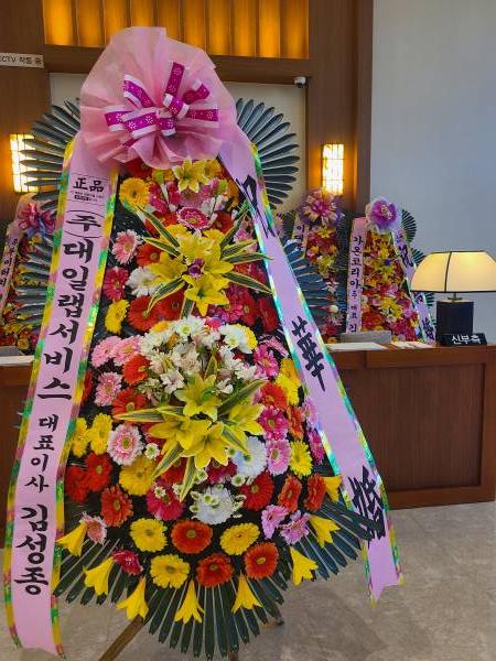 업로드 이미지