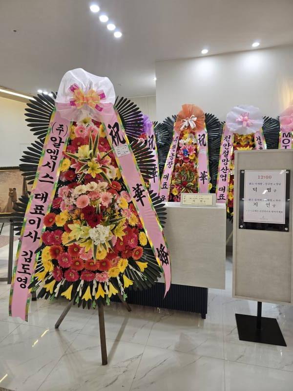 업로드 이미지