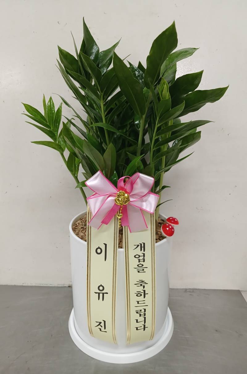 업로드 이미지