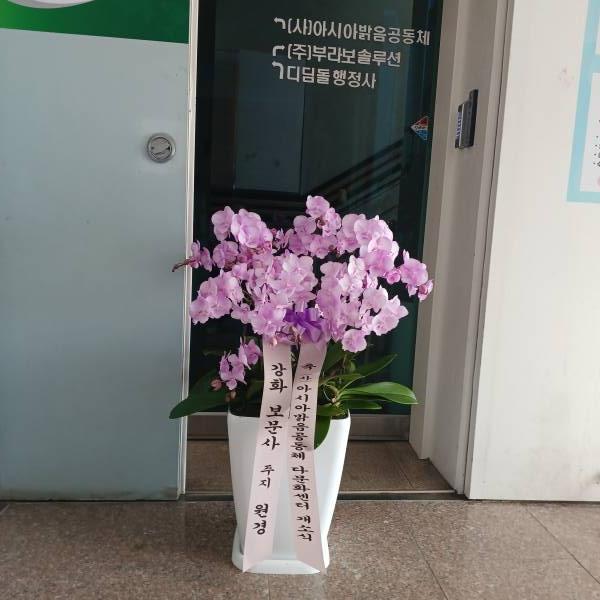 업로드 이미지