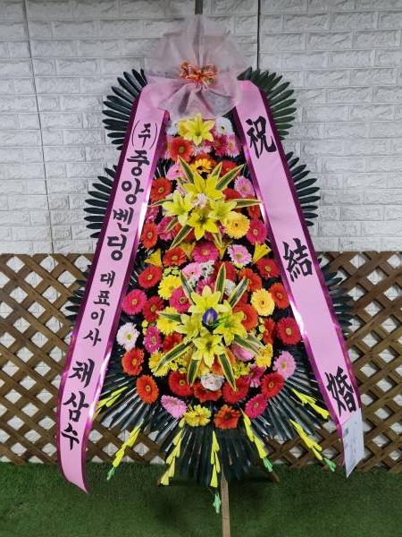업로드 이미지