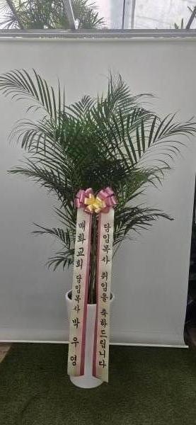 업로드 이미지