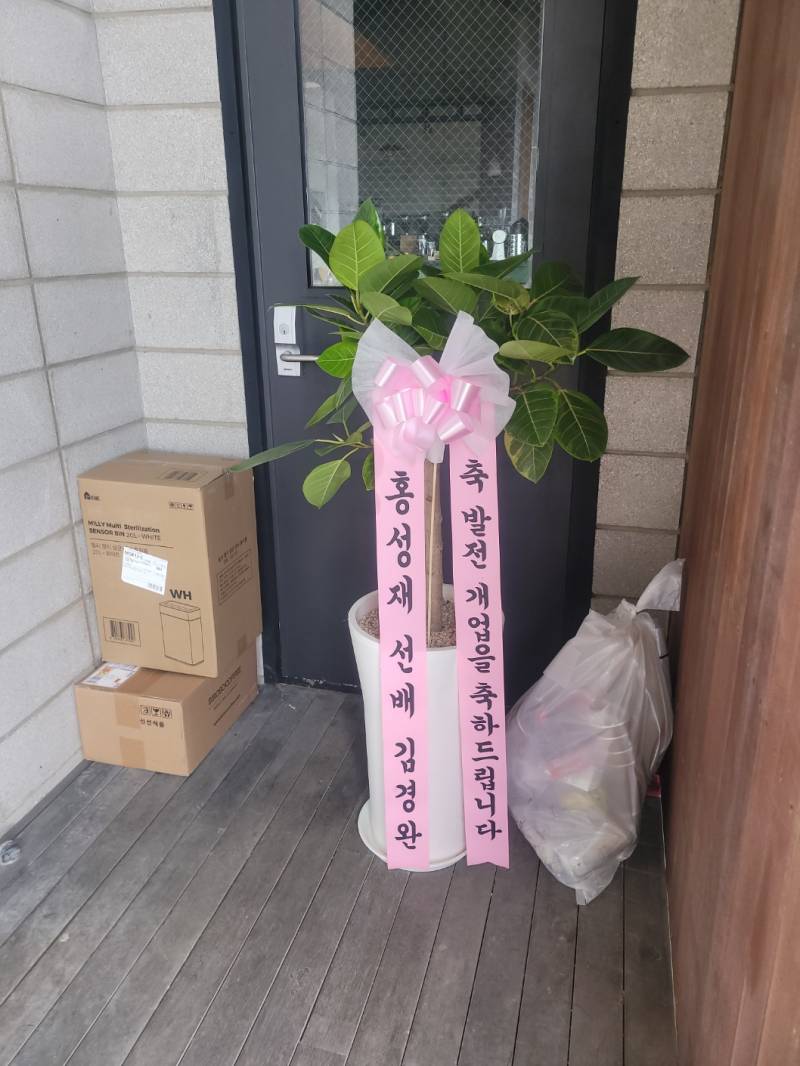 업로드 이미지