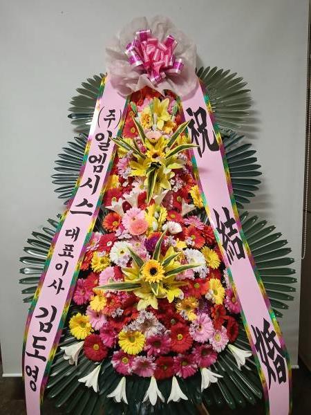 업로드 이미지