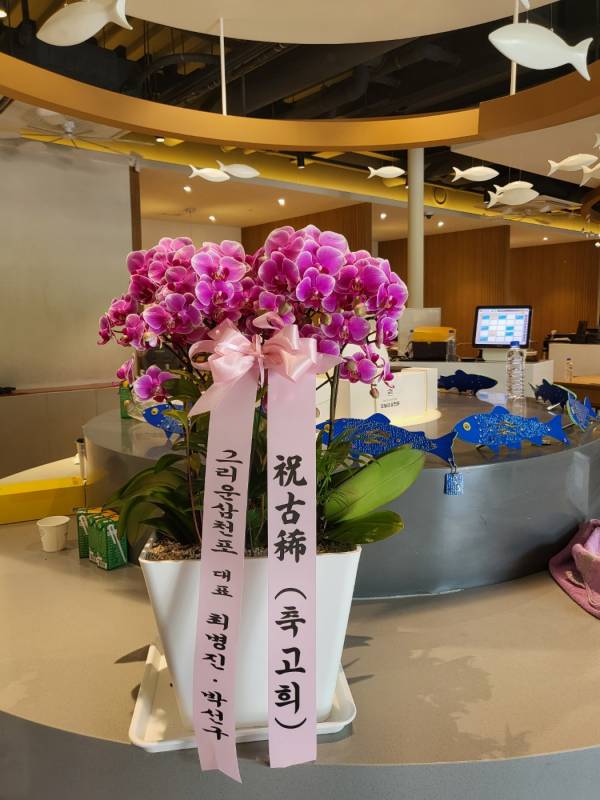 업로드 이미지