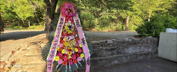 업로드 이미지
