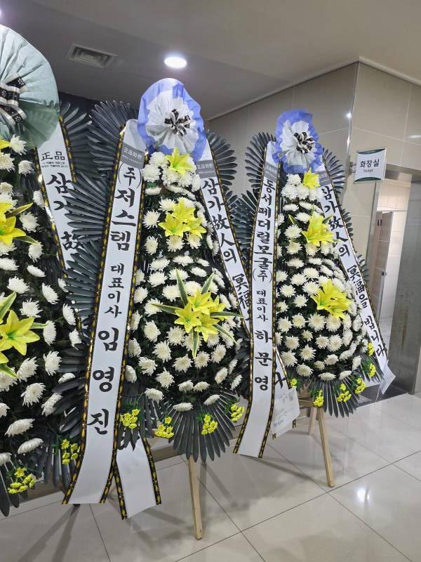 업로드 이미지