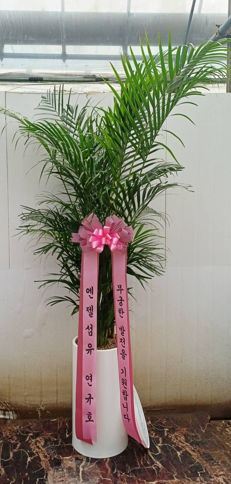 업로드 이미지
