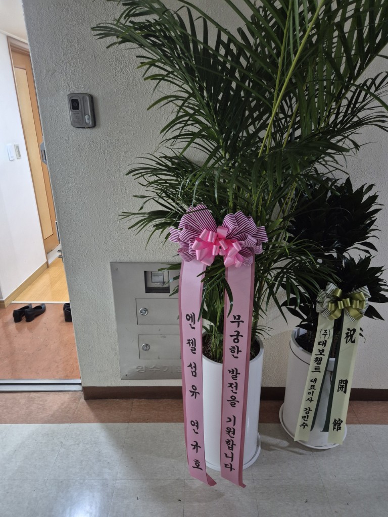 업로드 이미지