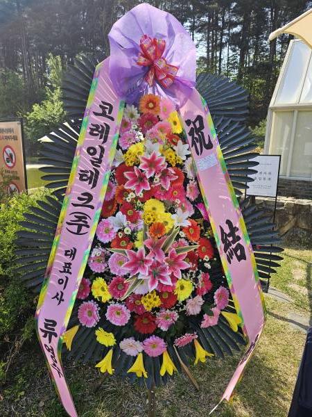 업로드 이미지