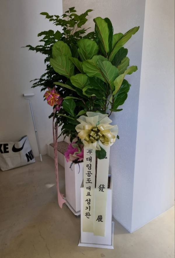 배송사진