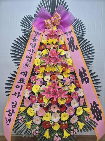 업로드 이미지