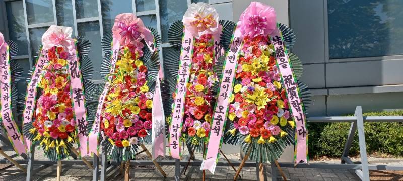 업로드 이미지