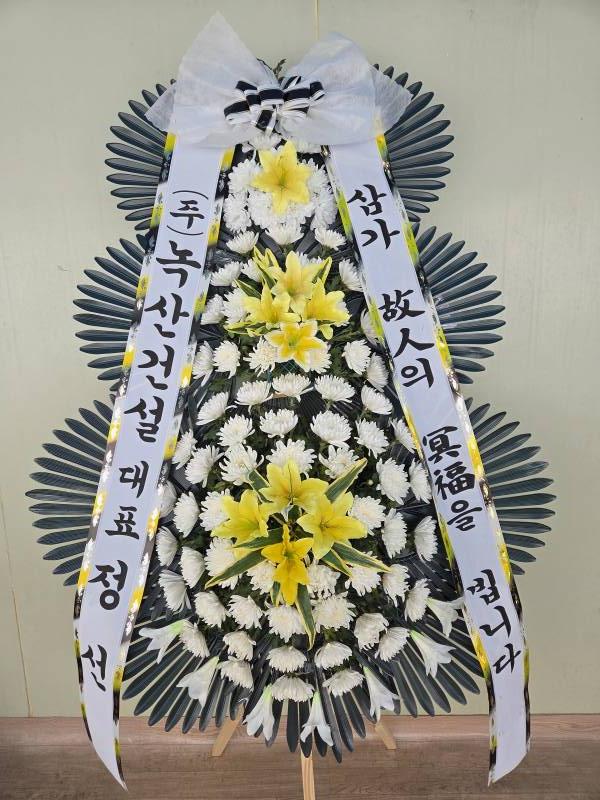 업로드 이미지