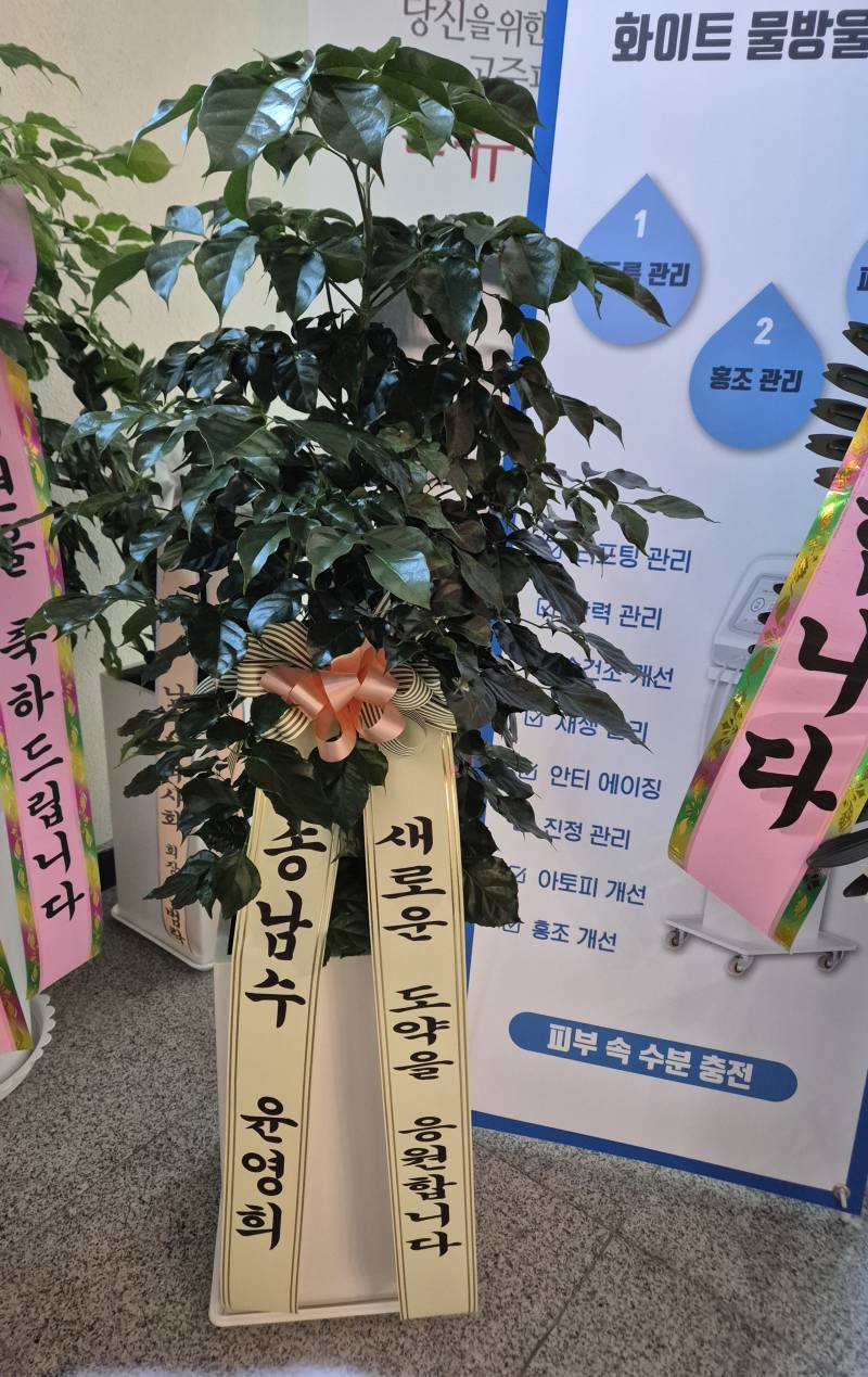 업로드 이미지